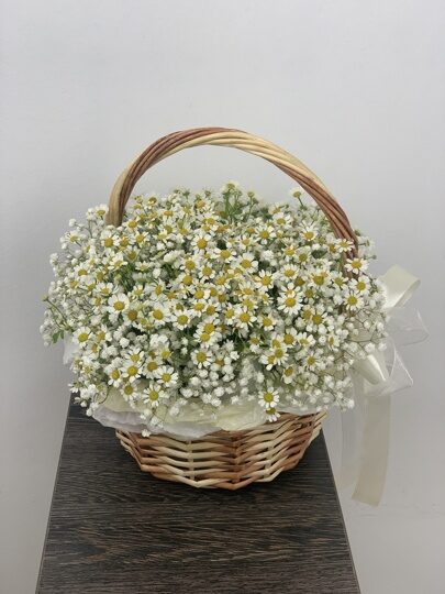 Летняя корзина из ромашек и гипсофилы