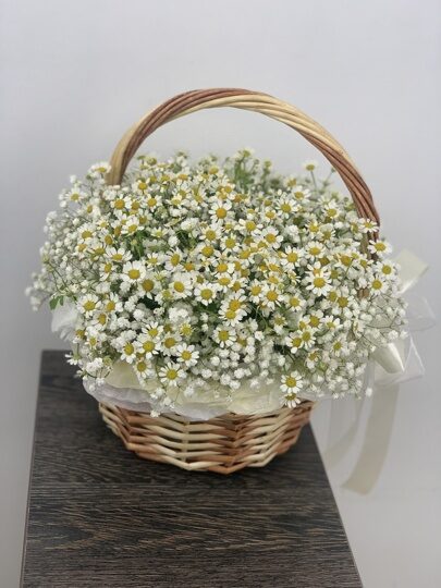 Летняя корзина из ромашек и гипсофилы