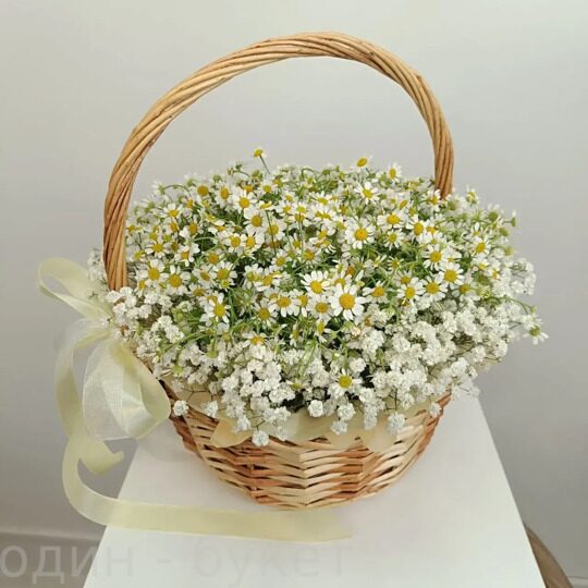 Корзина из ромашек и гипсофилы