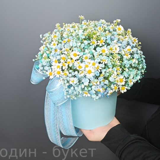 15 ромашек и 5 голубых гипсофил в коробке