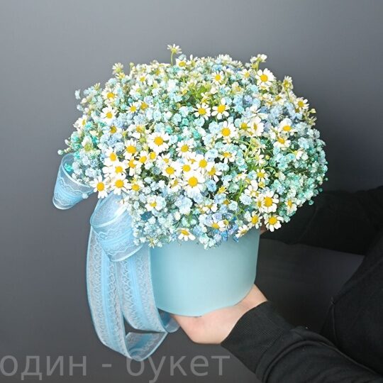 15 ромашек и 5 голубых гипсофил в коробке